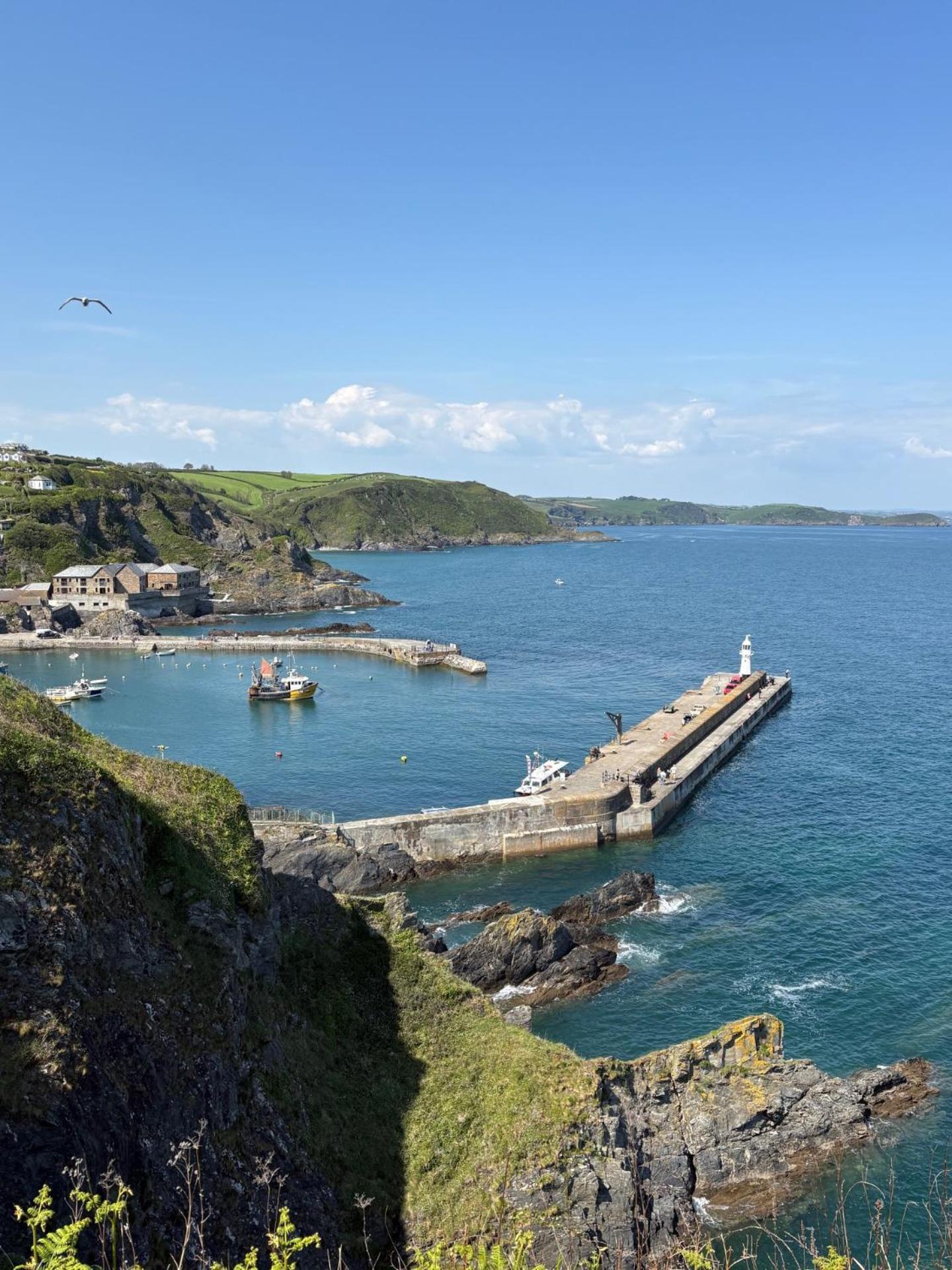 What A View Mevagissey Exterior photo